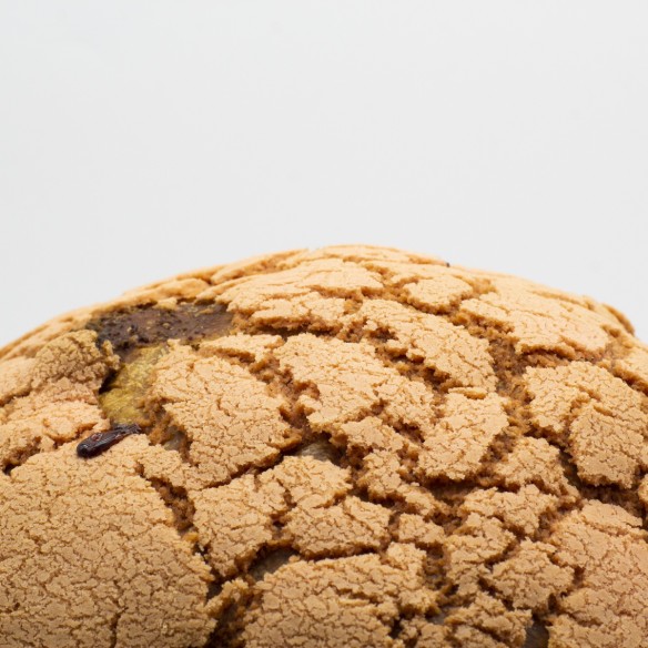 PANETTONE NOCI E ALBICOCCA