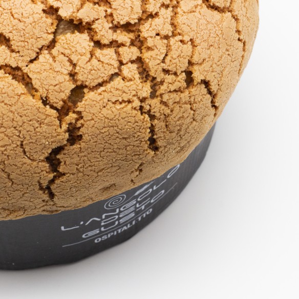 PANETTONE NOCI E ALBICOCCA