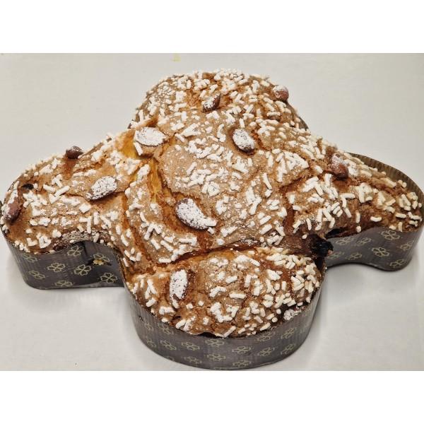 COLOMBA CLASSICA